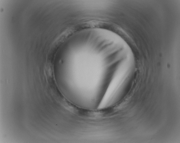 X0000075820313200610061803