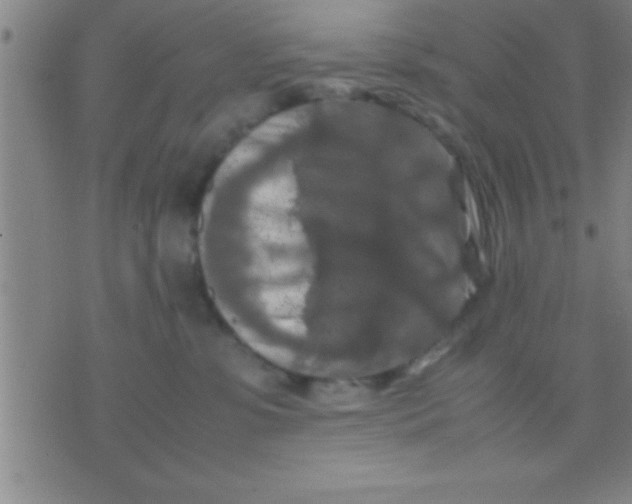 X0000075820331200610061803