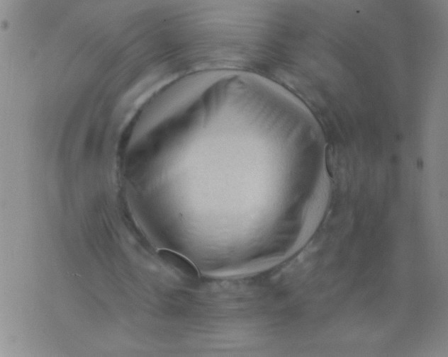 X0000075820338200610061802