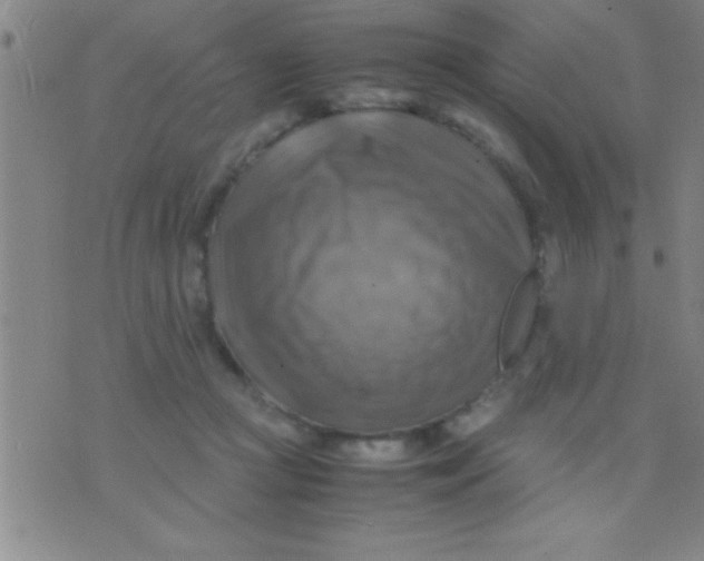 X0000075820361200610061803