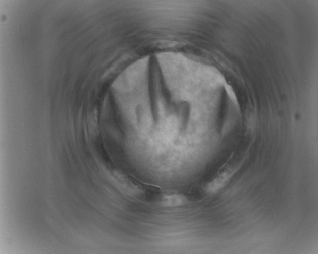 X0000075820376200610061803