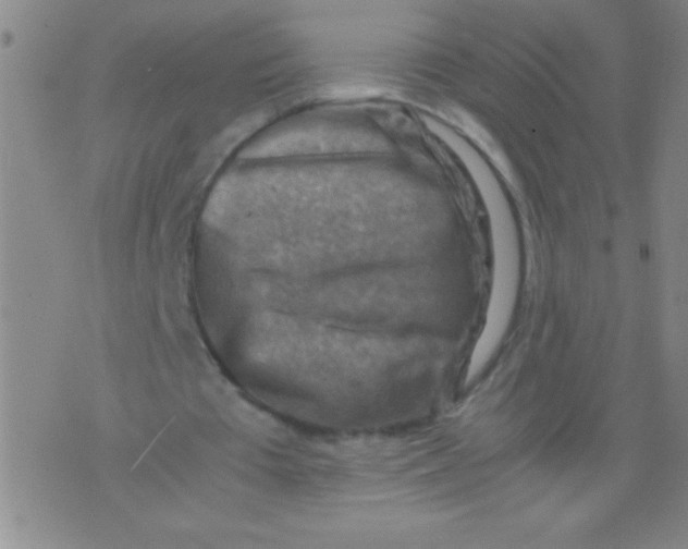 X0000075820385200610061802