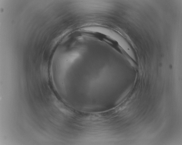 X0000075820386200610061802