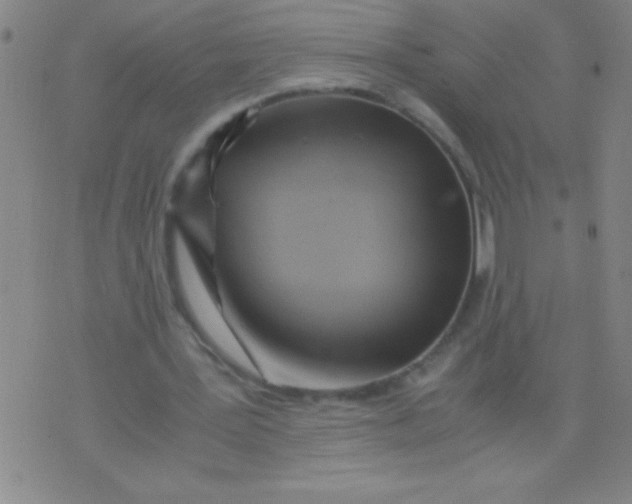 X0000075820387200610061802