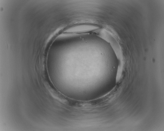 X0000075820395200610061802