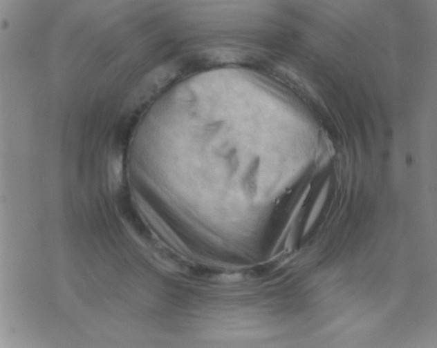 X0000075820406200610061802