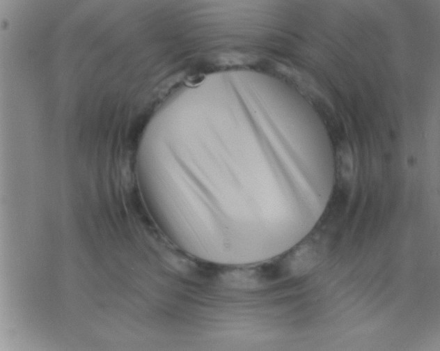 X0000075820422200610061802
