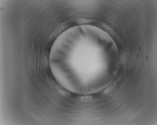 X0000075820426200610061801
