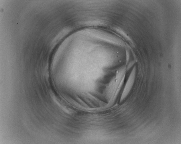 X0000075820486200610061800