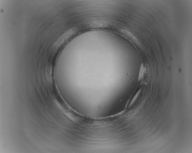 X0000075820490200610061800