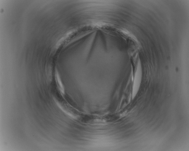 X0000075820496200610061800