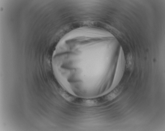 X0000075820522200610061800