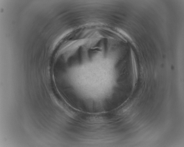 X0000075820535200610061759