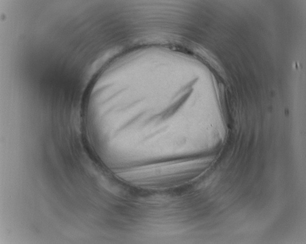X0000075820578200610061759