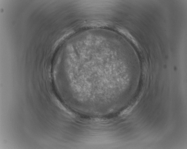 X0000075820585200610061759