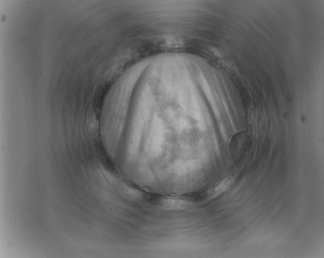 X0000075820614200610061758
