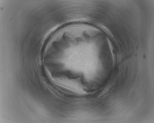 X0000075820628200610061757