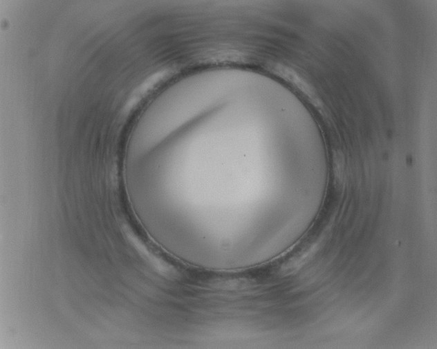 X0000075820629200610061757