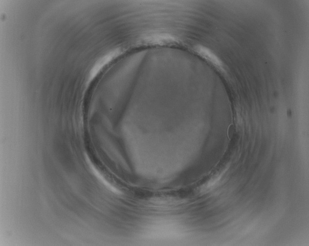 X0000075820630200610061757