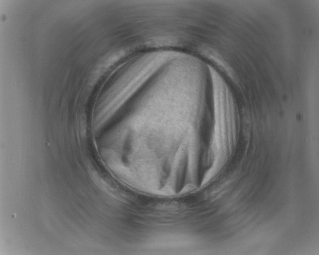 X0000075820631200610061757
