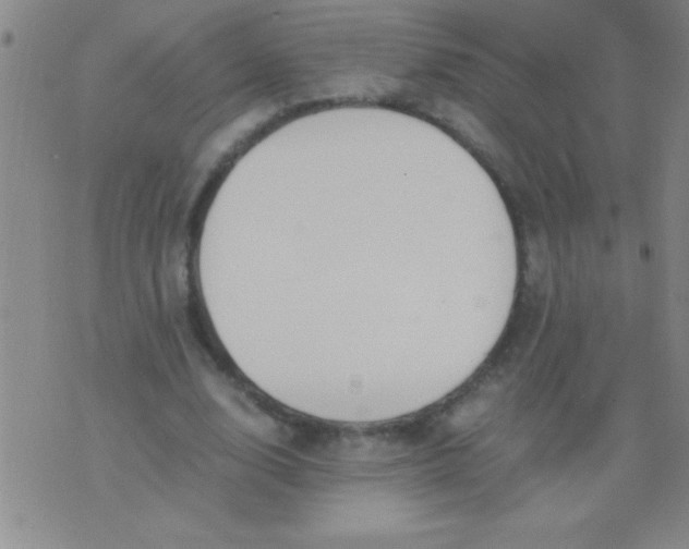 X0000075820632200610061757