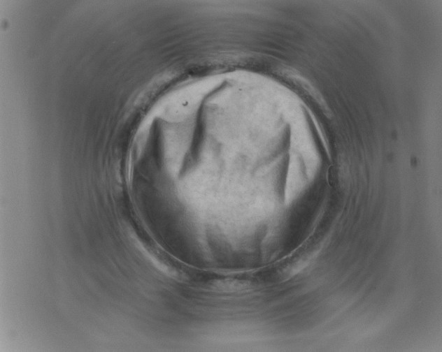 X0000075820633200610061757