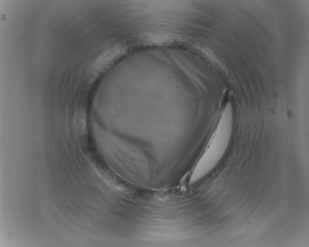 X0000075820640200610061758