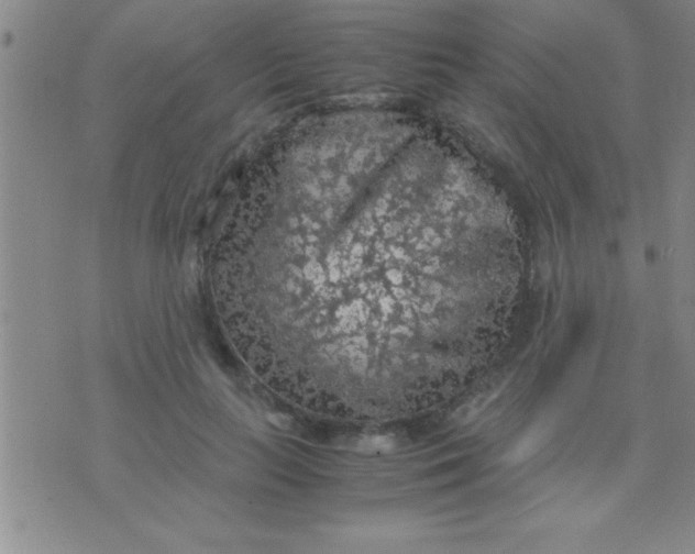 X0000075820647200610061758