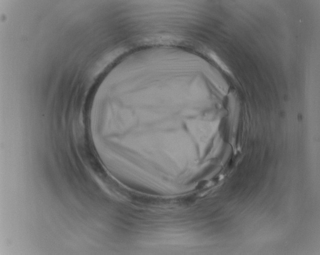 X0000075820674200610061757