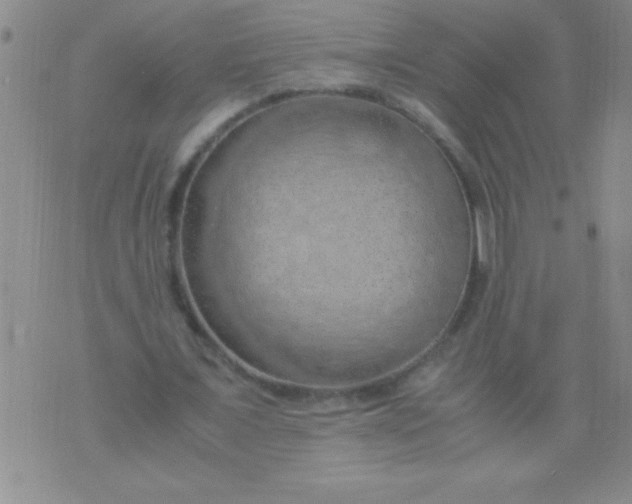 X0000075820675200610061757