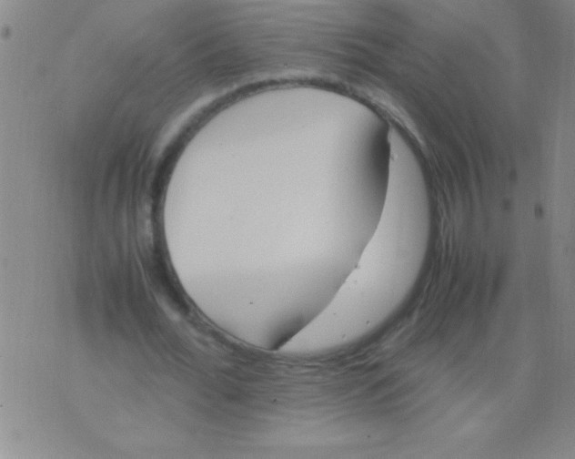 X0000075820676200610061757