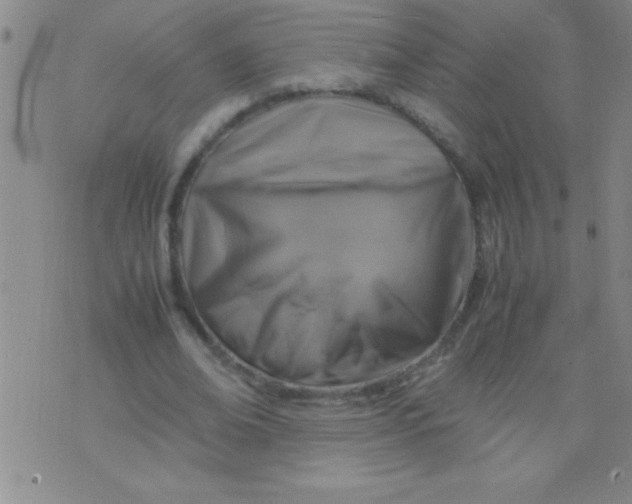 X0000075820678200610061757