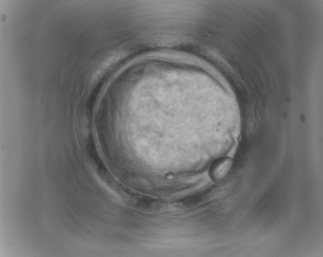 X0000075820683200610061757