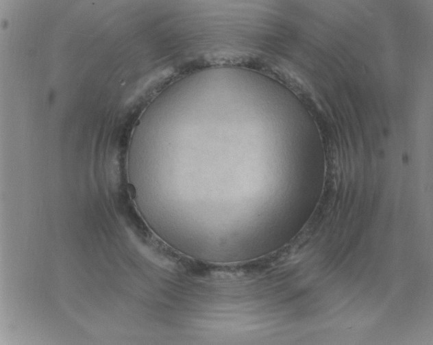 X0000075820690200610061757