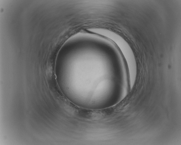 X0000075820697200610061757