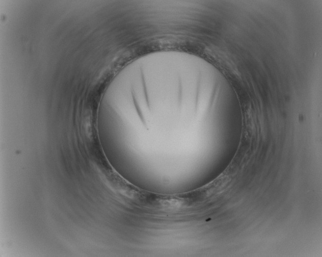 X0000075820698200610061757