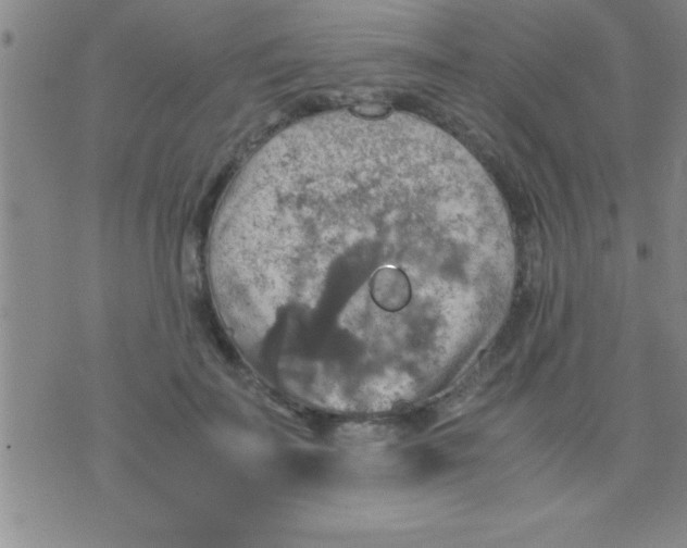 X0000075820699200610061757