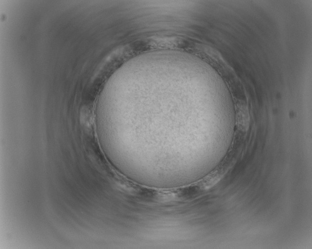 X0000075820701200610061757