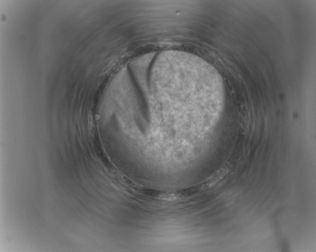 X0000075820704200610061757