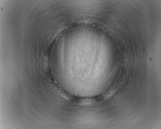 X0000075820708200610061757