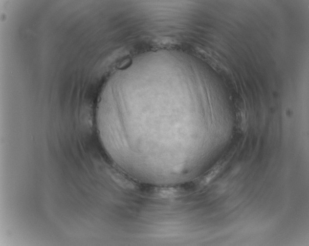 X0000075820710200610061757