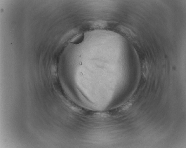 X0000075820714200610061757