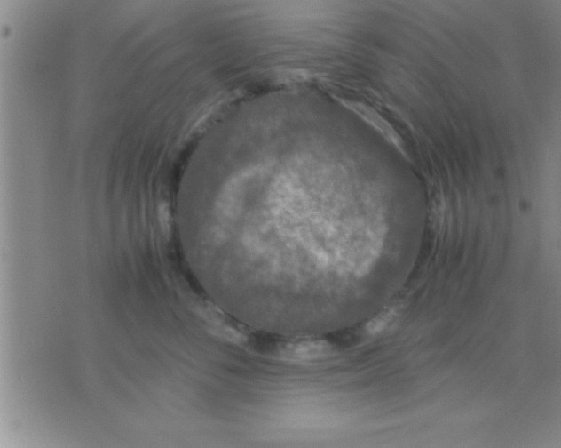 X0000075820716200610061757