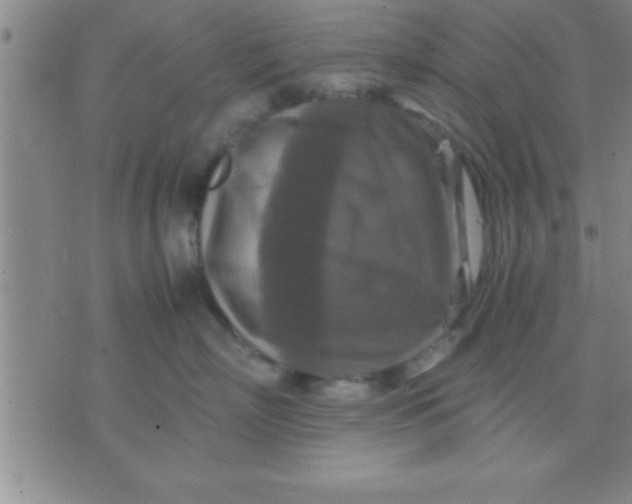 X0000075820718200610061757