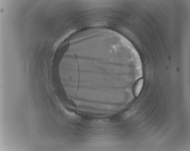 X0000075820721200610061756