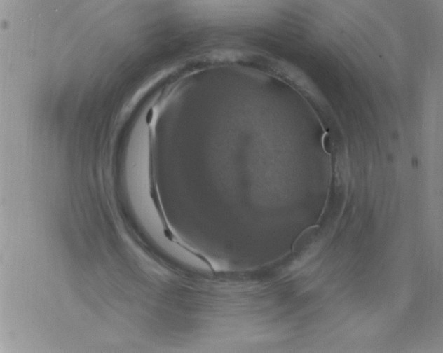 X0000075820722200610061756