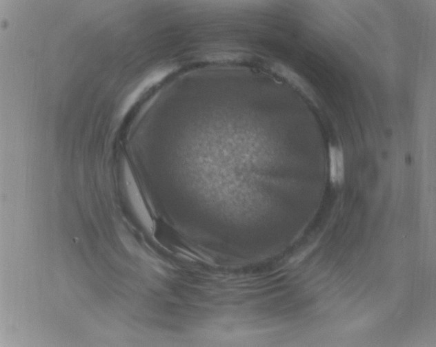 X0000075820723200610061756