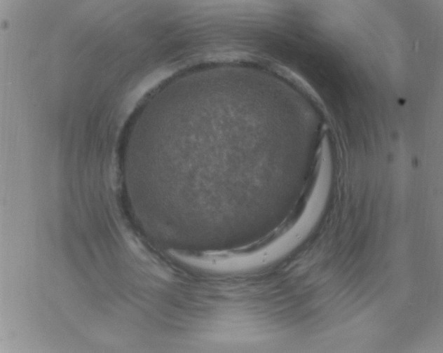 X0000075820724200610061756