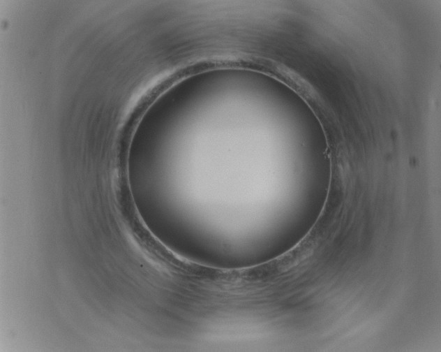 X0000075820728200610061756