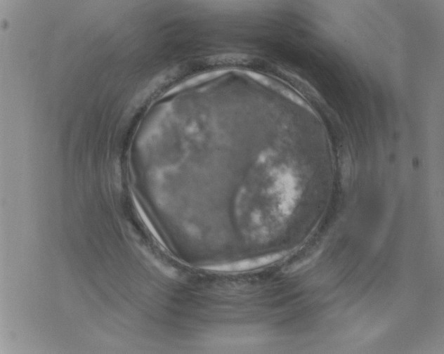 X0000075820729200610061756